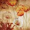 Poppy Heat I Poster Print by Tandi Venter - Item # VARPDX12892